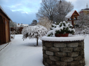 Unser Garten am 08.02.2013