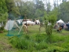 2012-05-17_Wildpark_Eekholt_007