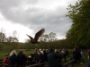 2012-05-17_Wildpark_Eekholt_018