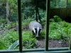 2012-05-17_Wildpark_Eekholt_031