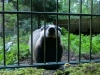 2012-05-17_Wildpark_Eekholt_032